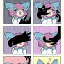Pandy + Co. 1