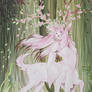 Spirit