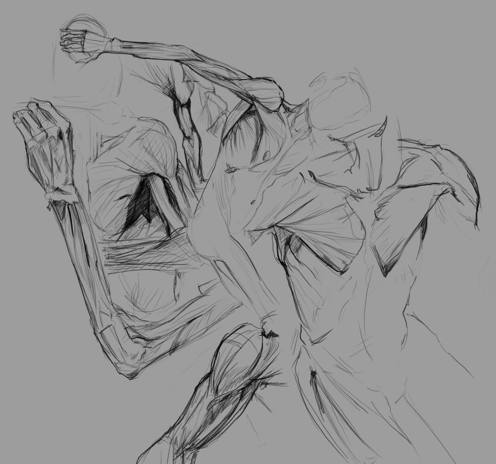 Anatomy Sketch