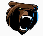 Bear-logo