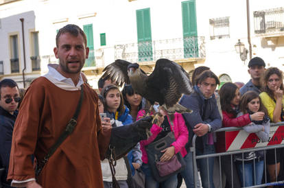 Falconry in Altamura Italy 2012