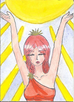 Aceo - Sun