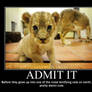 Lion Cubs