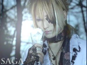 -Saga-