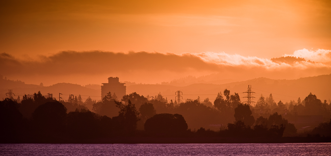 Palo Alto from Shoreline