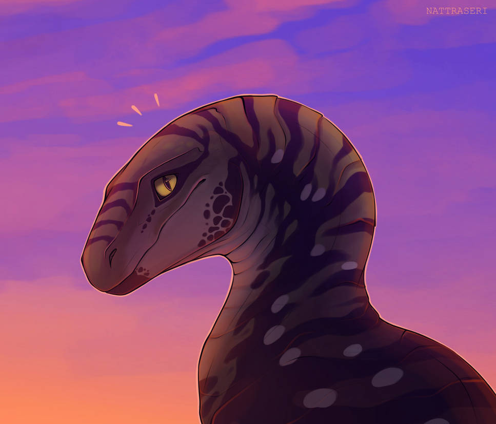 Raptor by Natraseri on DeviantArt