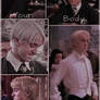 HP Draco Malfoy Under The Influence Wallpaper