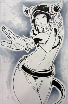 Juri Commission SDCC'14