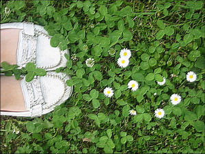 shOes 'nd mah favOrite flOwers