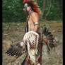 Native American Dance Dress 2