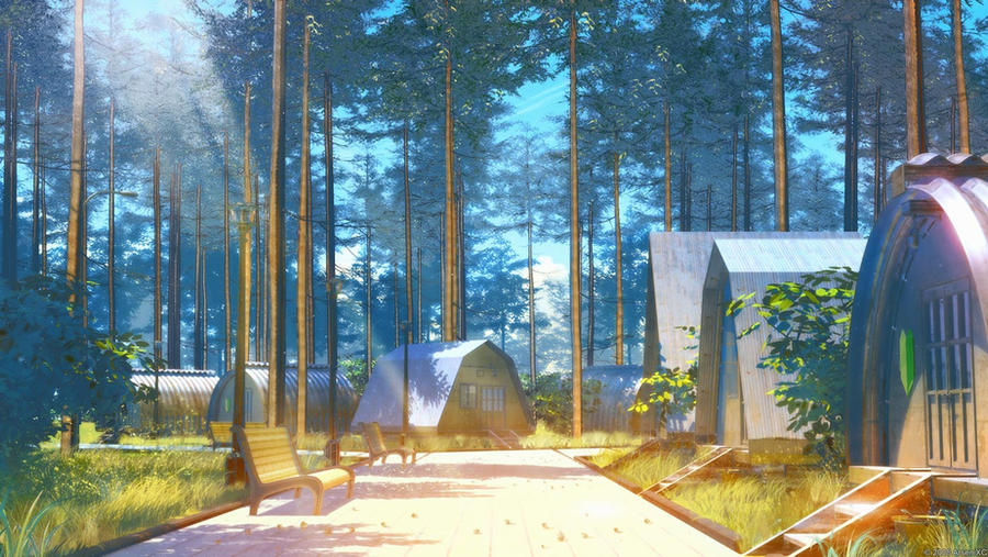 Morning in the summer camp