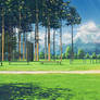 Stadium in summer camp