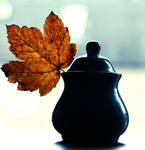 Sugar Bowl by ZoeWieZo Sugar Bowl by ZoeWieZo