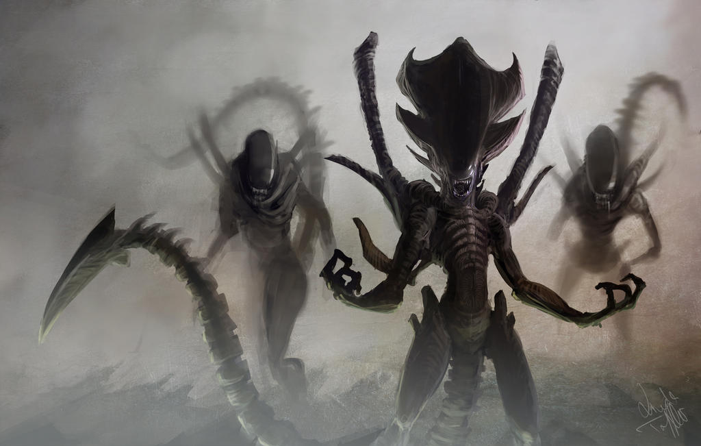 Xenomorph by Enigmasystem Xenomorph by Enigmasystem