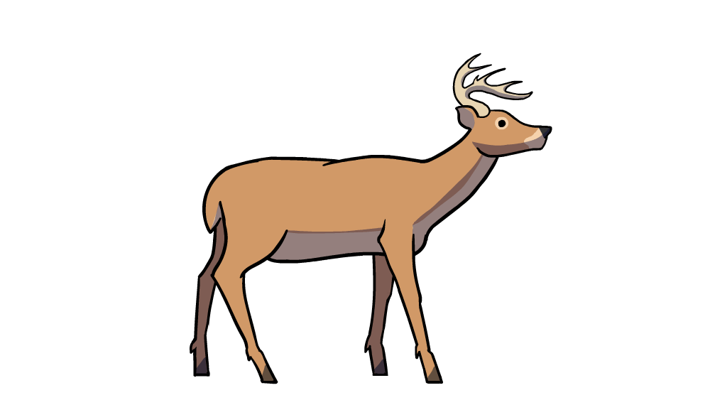 Deer Animation by EggeFett on DeviantArt Deer Animation by EggeFett on DeviantArt
