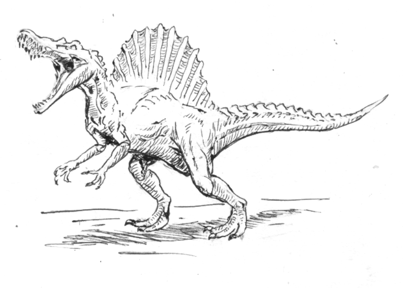 Spinosaurus Sketch Art by TerraReptile on DeviantArt