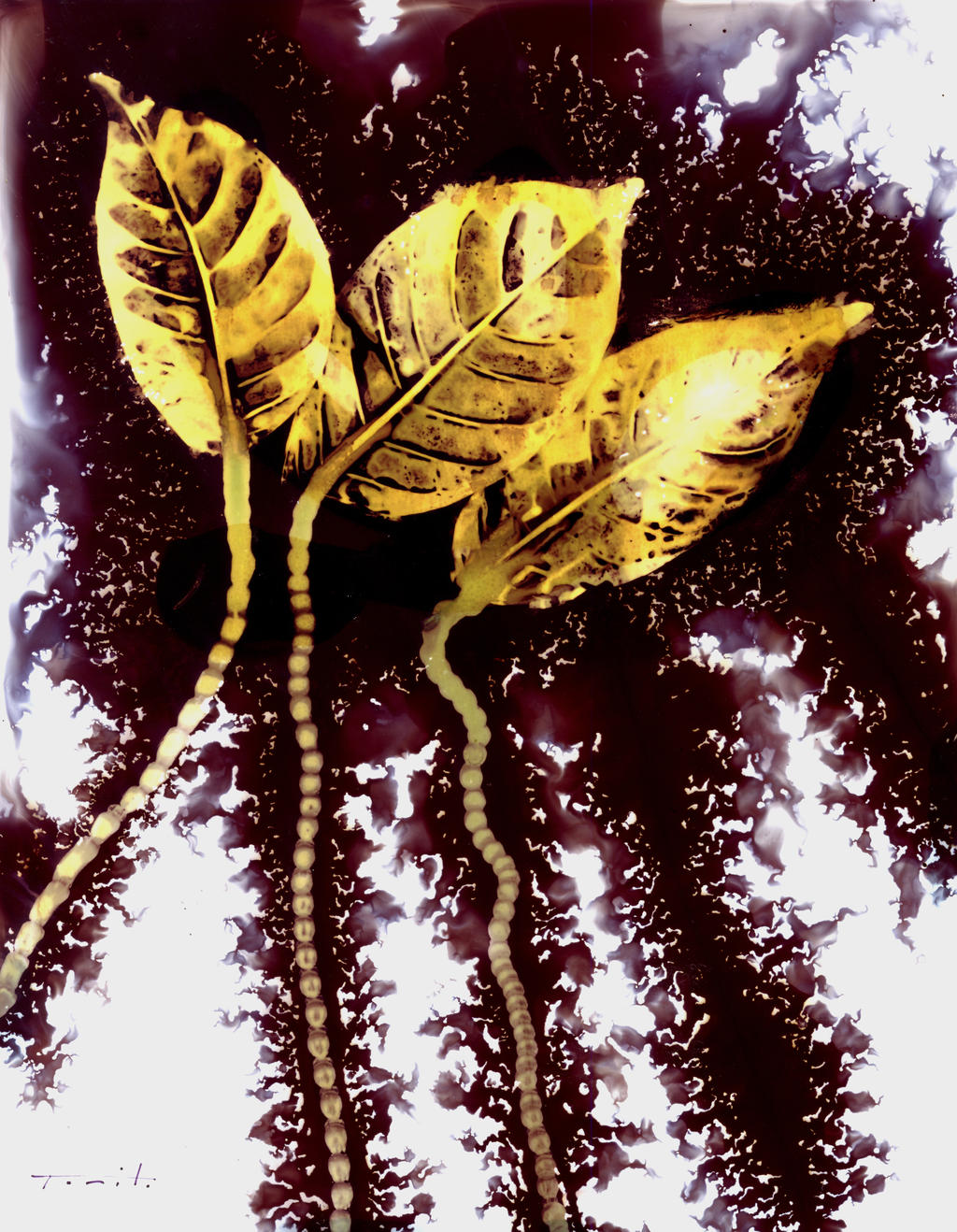 Golden Leaves Art.Painting by Jose Tonito