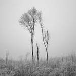 silence by Laerel