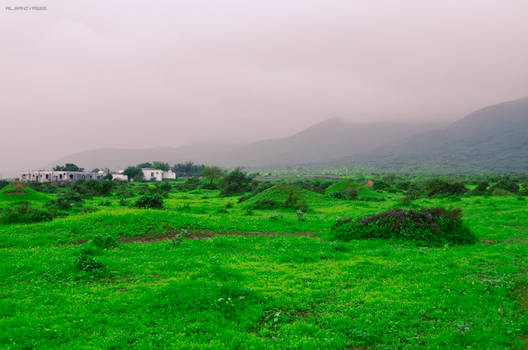 Salalah 2