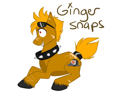 Ginger snaps