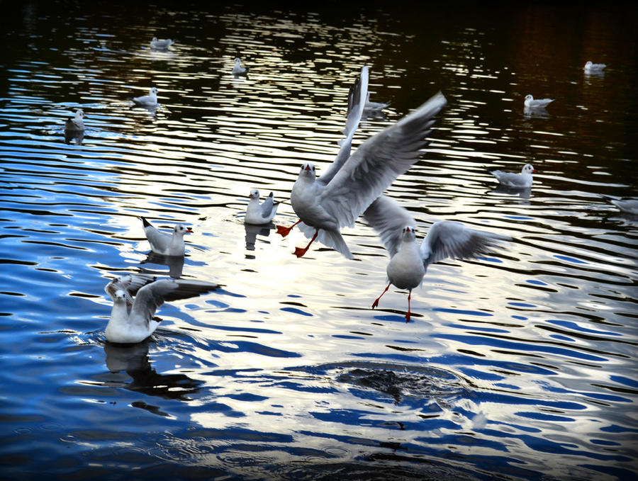 In Flight