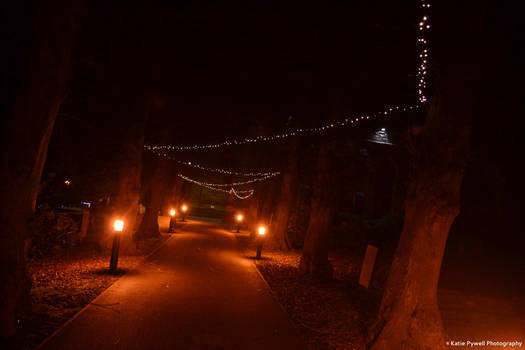 Cemetery Path