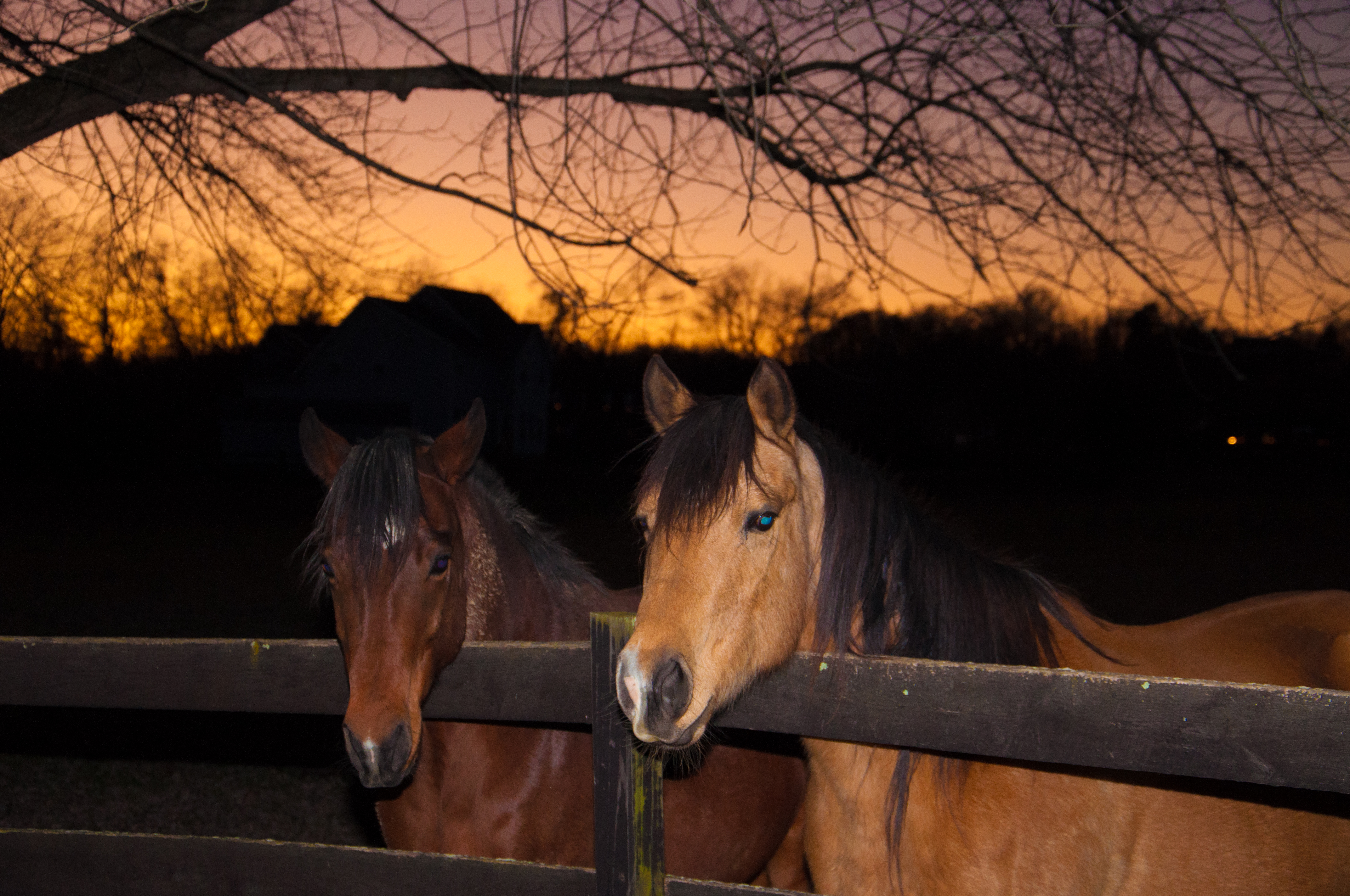 Enjoying the sunset