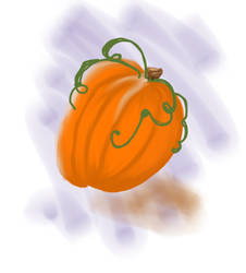 SKETCH A PUMPKIN