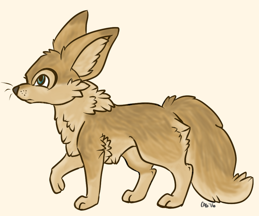 Fennec Doodle