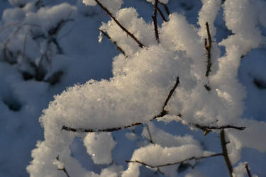 Glistening snow 2 unrestricted photo stock