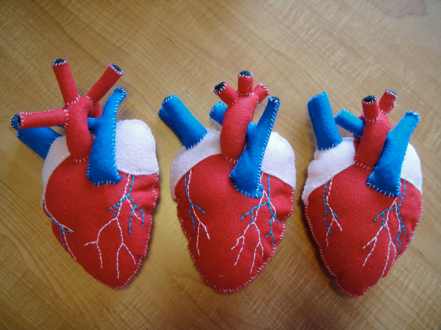 Anatomical Heart Plush