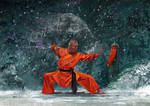 Shaolin w by tonyhurst