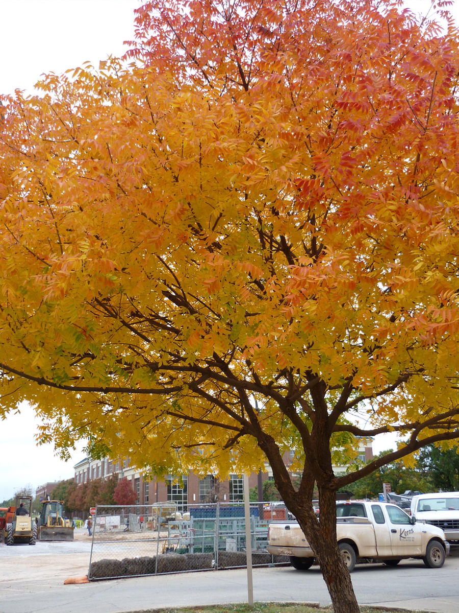 Farben im Herbst