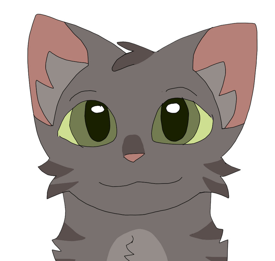 Quick Animations Cute Cat By Heneryettathehen On Deviantart Quick Animations Cute Cat By Heneryettathehen On Deviantart