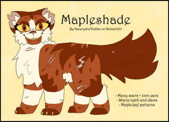 Warrior Cats Design #73: Mapleshade