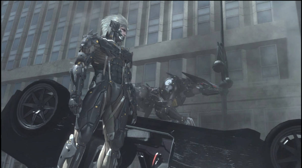 MGR - Raiden and Wolf by gureifull on DeviantArt