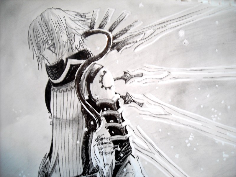 Haseo's Wings