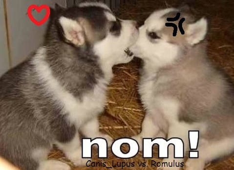 NOM