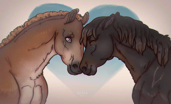 Horses in love