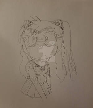 Bloom Rose: Sailor Moon Redraw