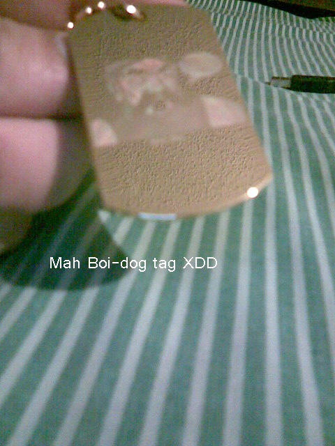 Mah Boi-dog tag XDD