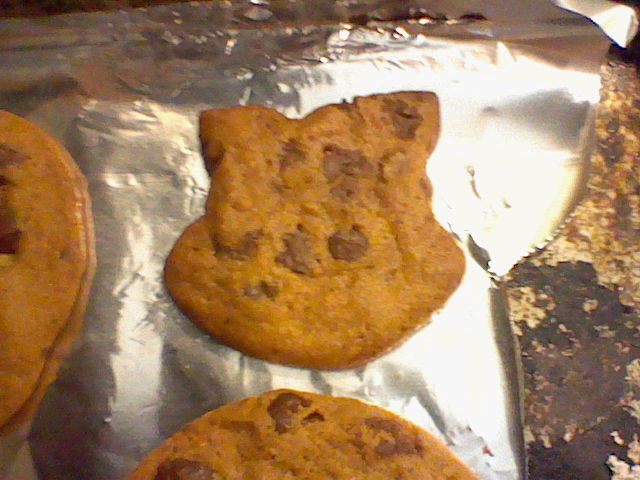 Furrie cookie XD