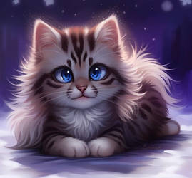 Cute Fluffy Cat