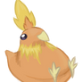 Torchic Peep