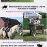 Indigos horse meme