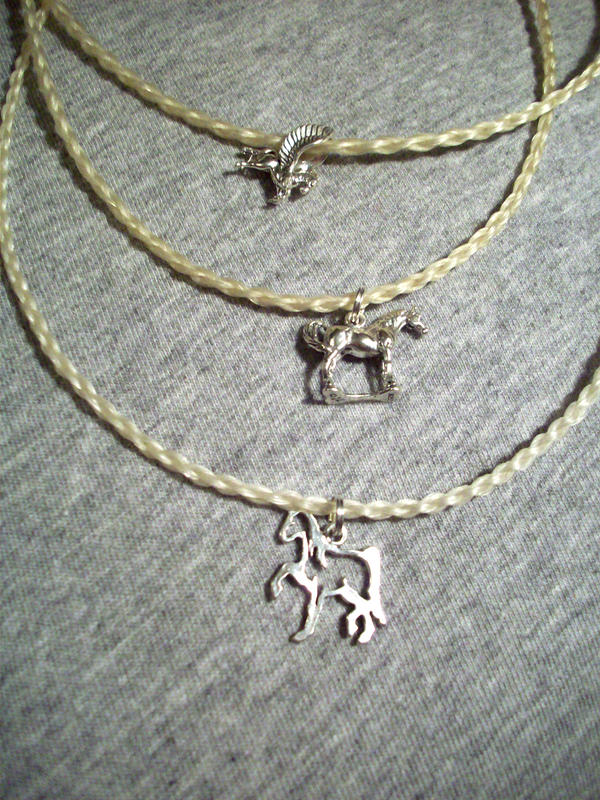 Horse hair necklace n charms