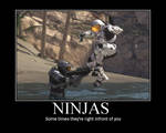 Ninjas V3
