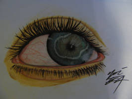 Eye Study in Colour.