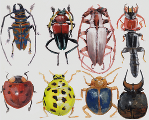 Some insects