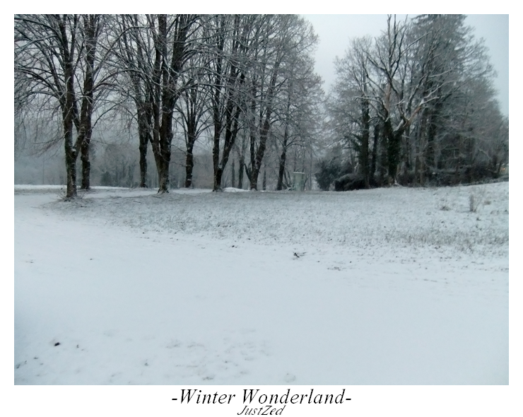 Winter Wonderland #1